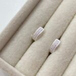 Brinco Argola Abaulada Cravejada P