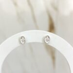 Brinco Medalha Nossa Senhora Das Graças