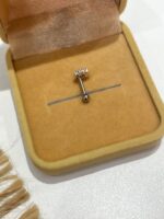 Piercing Diana - Imagem 2