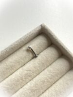 Piercing Coração - Imagem 2