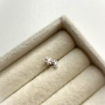 Piercing Ramo De Flor