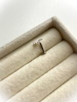 Piercing Ramo De Flor - Imagem 2